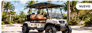 Carrito de golf de 4 plazas